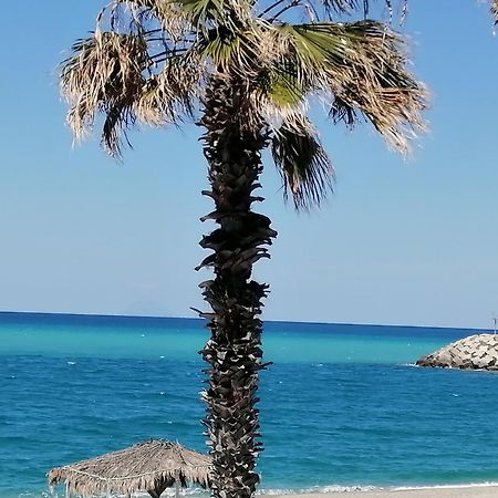 Eneide Bed and Breakfast Palmi Εξωτερικό φωτογραφία