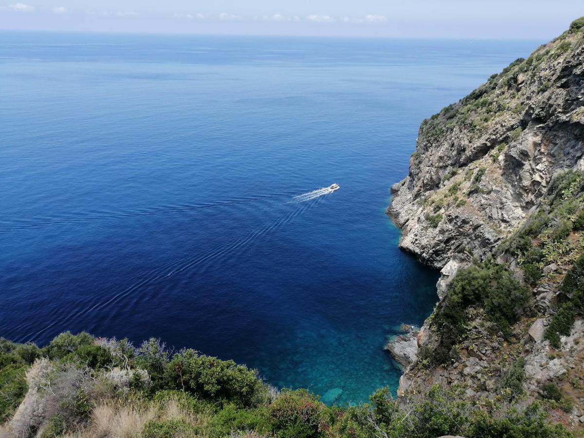 Eneide Bed and Breakfast Palmi Εξωτερικό φωτογραφία