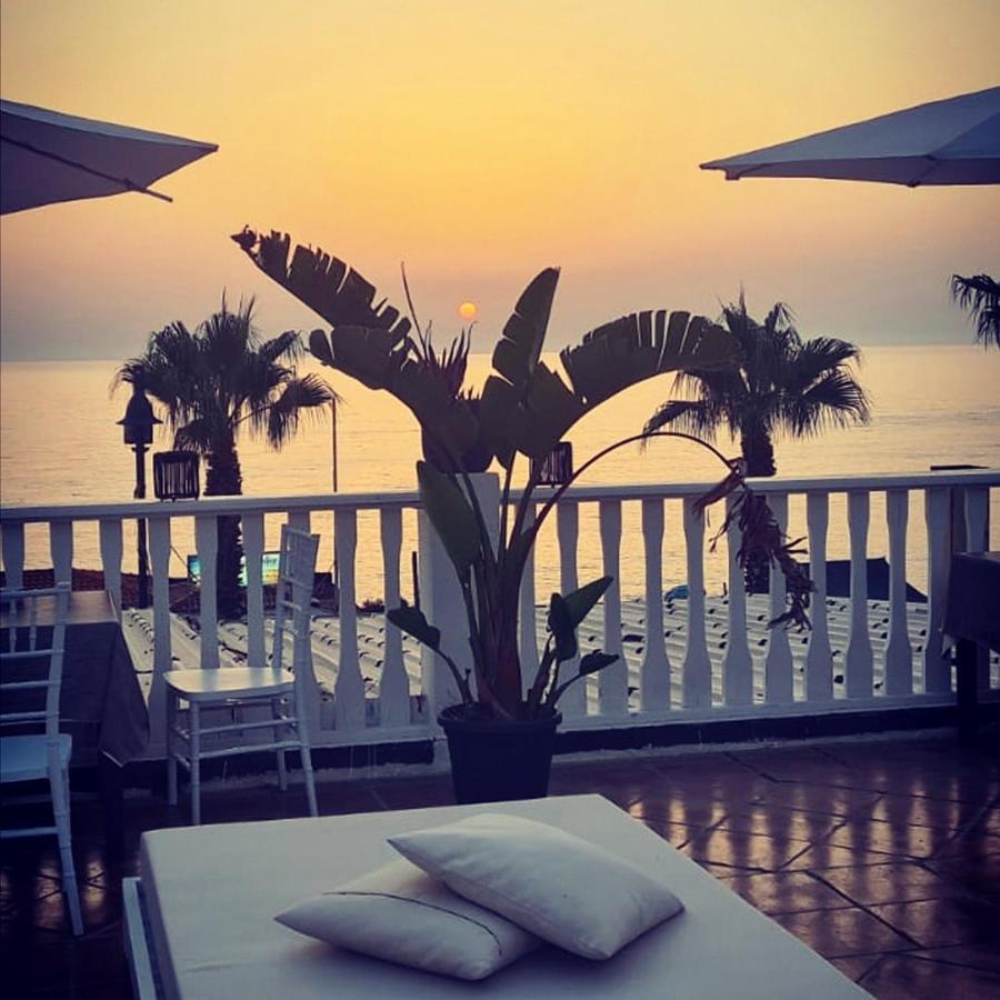 Eneide Bed and Breakfast Palmi Εξωτερικό φωτογραφία