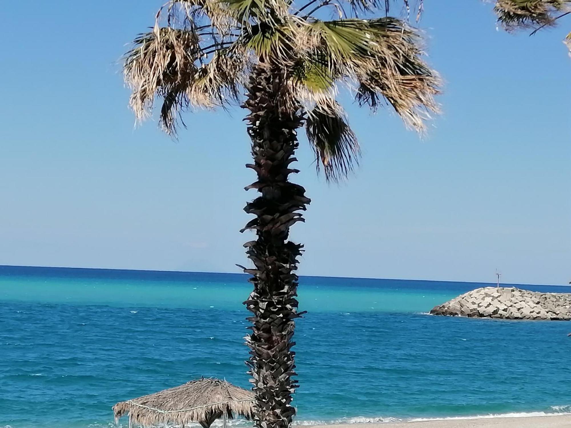 Eneide Bed and Breakfast Palmi Εξωτερικό φωτογραφία